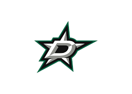 Dallas Stars mágnes Akryl Primary Logo