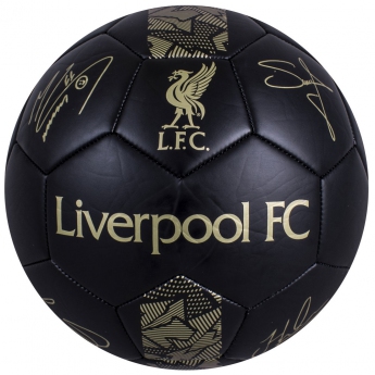 FC Liverpool futball labda Signature Gold PH - size 5