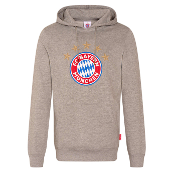 Bayern München férfi kapucnis pulóver Logo grey