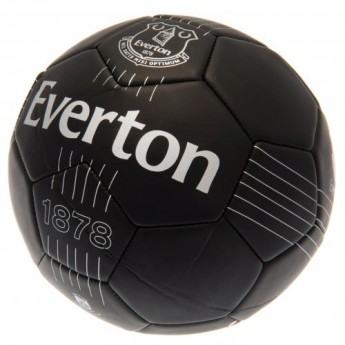 FC Everton futball labda Skill Ball RT - size 5