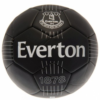 FC Everton futball labda Skill Ball RT - size 5