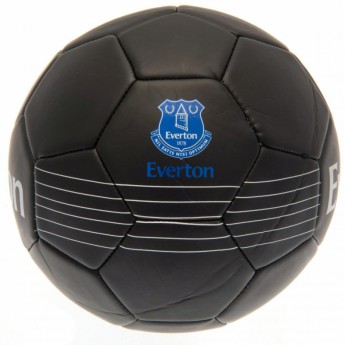 FC Everton futball labda Skill Ball RT - size 5