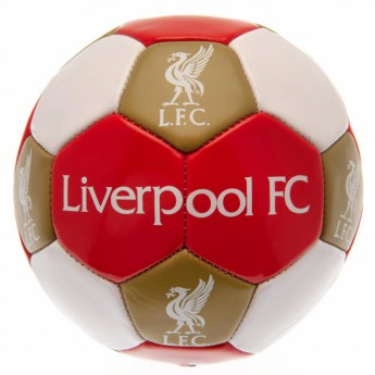 FC Liverpool foci szett water bottle - hand pump - size 3 ball