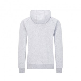 Red Bull Racing férfi kapucnis pulóver pull over grey F1 Team 2020