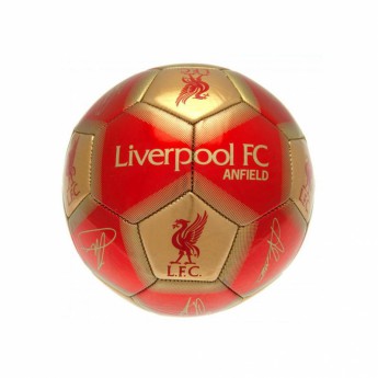 FC Liverpool mini focilabda Skill Ball Signature - size 1