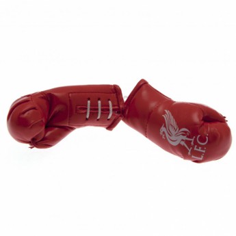 FC Liverpool mini bokszkesztyű hanging red