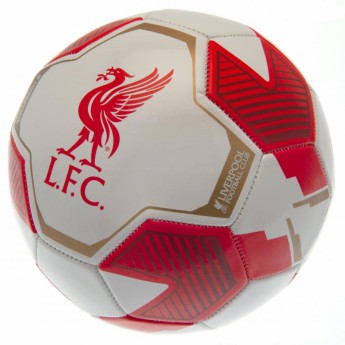 FC Liverpool futball labda RW - size 5