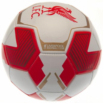 FC Liverpool futball labda RW - size 5