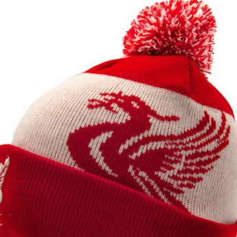 FC Liverpool téli sapka Quick Check Ski Hat RD
