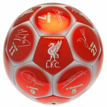 FC Liverpool futball labda Premier League Champions Football Signature RW - size 5
