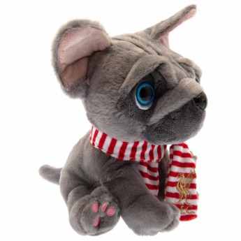 FC Liverpool plüss kabala Puppy