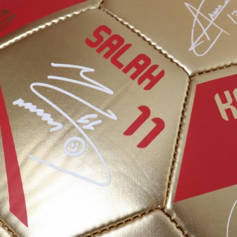 FC Liverpool futball labda Premier League Champions Gold Signature Football - Size 5