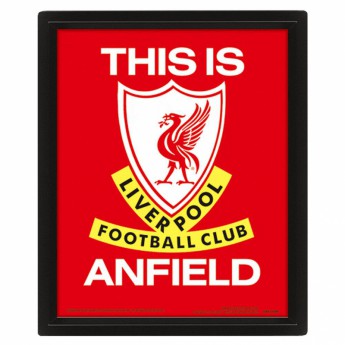 FC Liverpool kép keretben 3D Picture