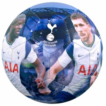 Tottenham futball labda players photo football