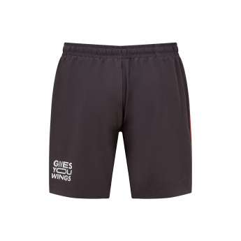 Red Bull Racing férfi rövidnadrág Shorts tech gray F1 Team 2022