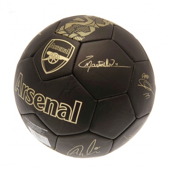 FC Arsenal mini focilabda Skill Ball Signature Gold PH size 1