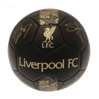 FC Liverpool mini focilabda Skill Ball Signature Gold PH size 1