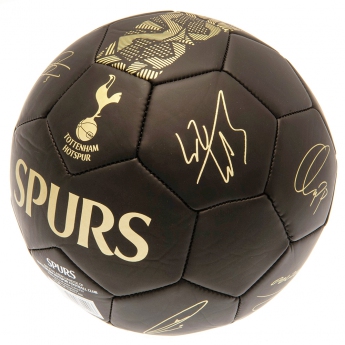 Tottenham futball labda Signature Gold PH size 5