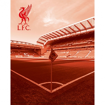 FC Liverpool 3D kép 3D Print
