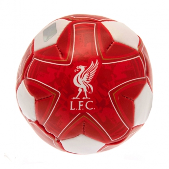 FC Liverpool mini focilabda 4 inch Soft Ball