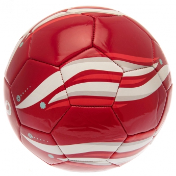 Labdarúgó válogatott futball labda 2022 Phoenix Football size 5