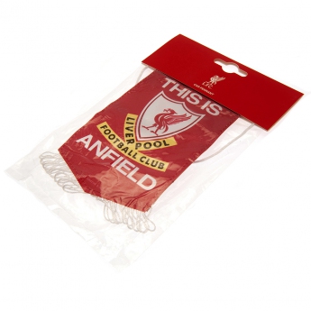 FC Liverpool zászló Mini Pennant TIA white