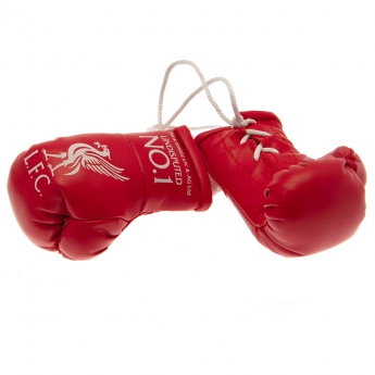 FC Liverpool mini bokszkesztyű Mini Boxing Gloves RD