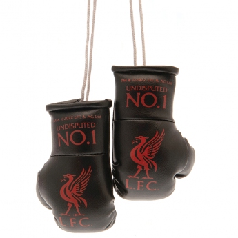 FC Liverpool mini bokszkesztyű Mini Boxing Gloves BK