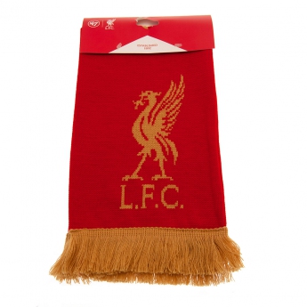 FC Liverpool téli sál GL