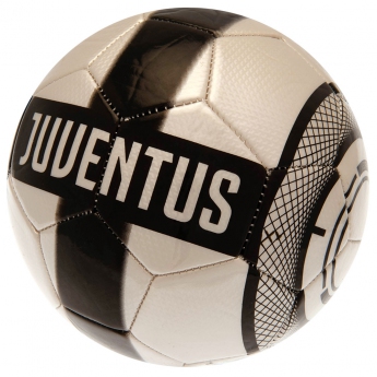 Juventus futball labda Football PR - Size 5