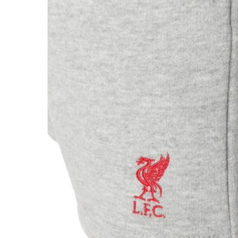 FC Liverpool gyerek rövidnadrág grey