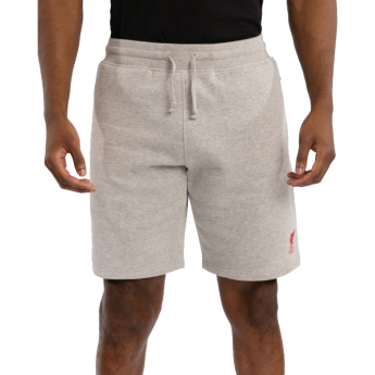 FC Liverpool férfi rövidnadrág sweat grey