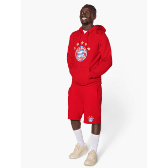 Bayern München férfi kapucnis pulóver Logo red