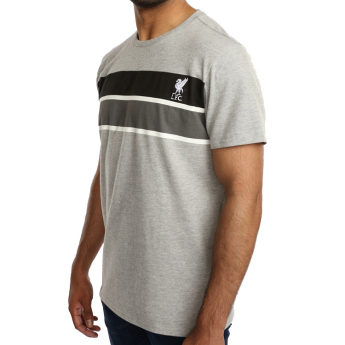 FC Liverpool férfi póló Stripe grey