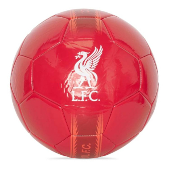 FC Liverpool futball labda ball Liver Bird
