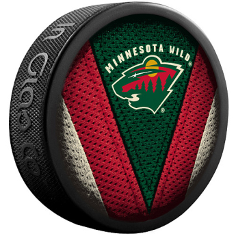 Minnesota Wild korong Stitch