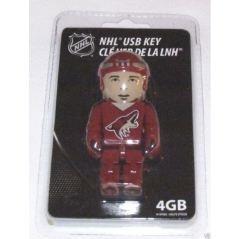 Arizona Coyotes USB flash meghajtó 4GB