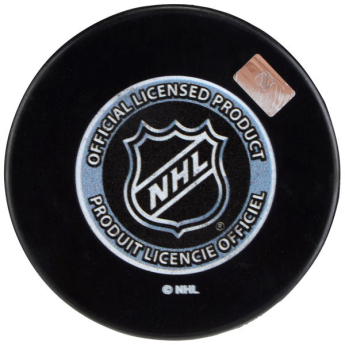 Anaheim Ducks korong 2007 Stanley Cup Champions