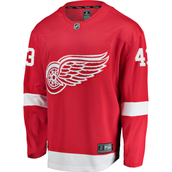 Detroit Red Wings hoki mez #43 Darren Helm Breakaway Alternate Jersey