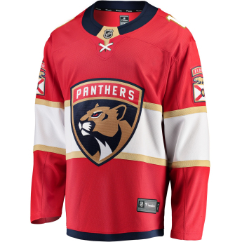 Florida Panthers hoki mez #1 Roberto Luongo Breakaway Alternate Jersey