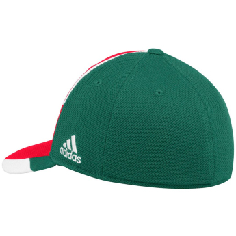 Minnesota Wild baseball sapka Adidas Echo Flex