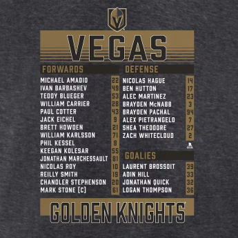 Vegas Golden Knights férfi póló 2023 Stanley Cup Champions Roster Heather Charcoal