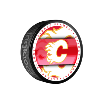Calgary Flames korong Medallion Souvenir Collector