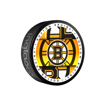 Boston Bruins korong Medallion Souvenir Collector Hockey Puck