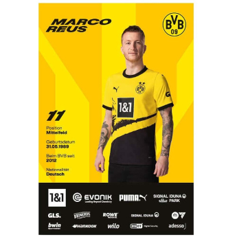 Borussia Dortmund játékos kártyák 33 cards with autographs 2023/24