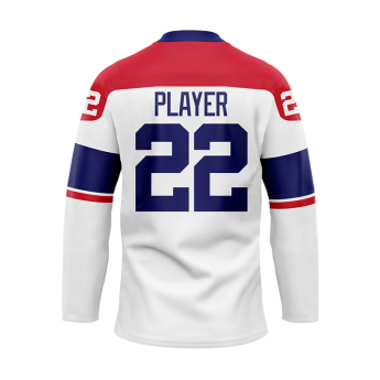 Jégkorong képviselet hoki mez Czech republic Fan white David Pastrňák #88