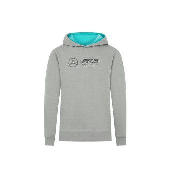 Mercedes AMG Petronas gyerek kapucnis pulóver Hoody Large Logo grey F1 Team 2024