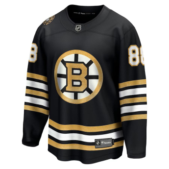 Boston Bruins hoki mez David Pastrnak #88 black 100th Anniversary Premier Breakaway Jersey