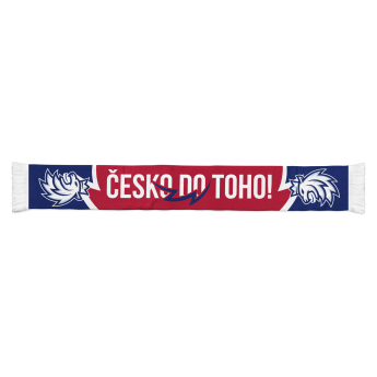 Jégkorong képviselet téli gyerek sál Česko do Toho Lion logo