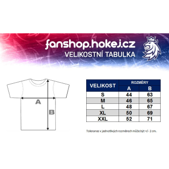 Jégkorong képviselet női póló grey Czech Ice Hockey logo lion